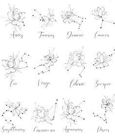 the zodiac symbols and their meaningss are shown in black ink on a white background