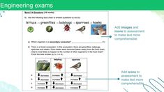 the diagram shows different types of bugs and other things that can be seen in this image