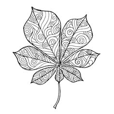 a black and white drawing of a leaf with swirly designs on it's leaves