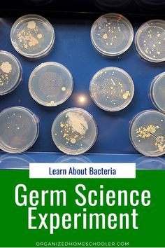 the science experiment is being displayed in front of an image with text that reads learn about bacteria germ science experiment