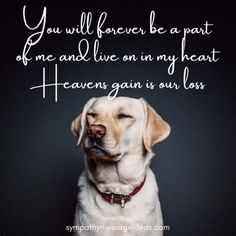 Loss Of A Dog Quotes. There are any references about Loss Of A Dog Quotes in here. you can look below. I hope this article about Loss Of A Dog Quotes can be useful for you. Please remember that this article is for reference purposes only. #loss #of #a #dog #quotes Quotes About Dogs Passing, Losing A Dog Quotes, Passing Quotes, Memorial Quotes, Die Quotes, Lost Quotes, Dog Quotes Love