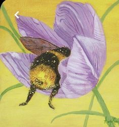 a bee sitting on top of a purple flower next to green leaves and yellow background