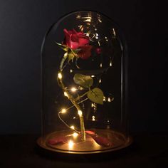 a red rose in a glass dome with fairy lights on the bottom and around it