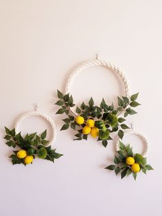 three lemons are hanging on the wall next to some green leaves and rope wreaths