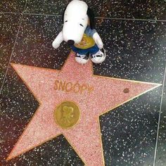 snoopy star on the hollywood walk of fame