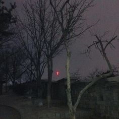 a red cross is seen in the distance behind some bare trees and a brick wall