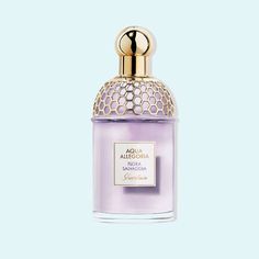 Perfumes frescos, florales y cítricos para todo el año Miss Dior, Humor, Humour