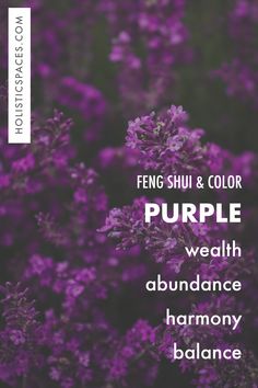 Text: holisticspaces.com. Feng shui & color: purple: wealth, abundance, harmony, balance. Background photo of purple flowers. Purple Home Decor Living Room, Purple Home Office Ideas, Purple Room Decor Ideas, Purple Home Office, Feng Shui For Beginners, Feng Shui Garden