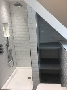 a walk in shower sitting next to a white toilet under a slanted skylight