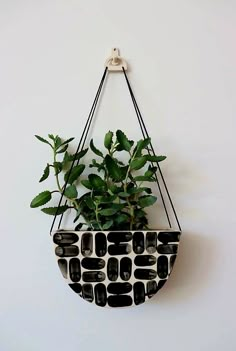 a potted plant hanging from a wall with black and white tiles on it's side