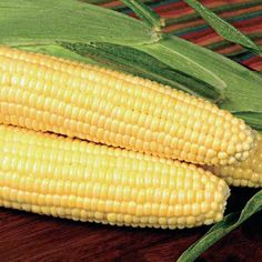 two ears of corn on a wooden table