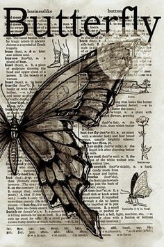 a drawing of a butterfly sitting on top of an open book