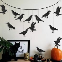 there are many black birds hanging on the wall next to a potted plant and pumpkin