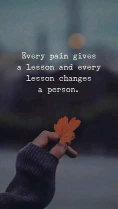 Every Pain Gives A Lesson, The Idealist Quotes, Fb Quote, Short Inspirational Quotes