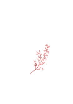 a red line drawing of flowers on a white background