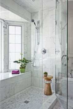 a walk in shower sitting next to a bath tub under a window with a potted plant