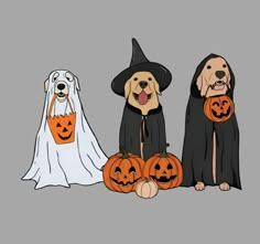 three dogs dressed up in halloween costumes with pumpkins and ghost hats on their heads