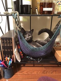 a cat sitting in a hammock on top of a table next to books