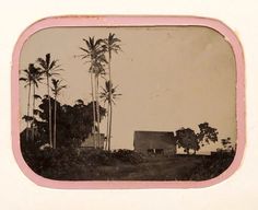 an old black and white photo with palm trees in the foreground is a house