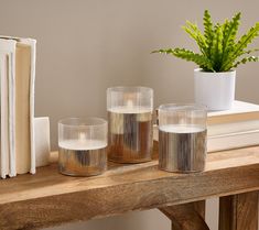 three clear glass vases sitting on top of a wooden table next to books and a potted plant