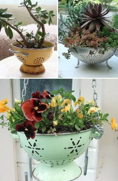 several pictures of different types of flower pots