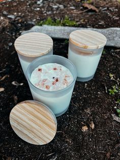 three small containers filled with food sitting on top of the ground next to each other