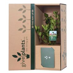 an open cardboard box with a plant in it