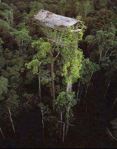 an aerial view of a tree house in the middle of some trees with ladders attached to it