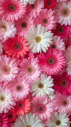 many pink and white flowers are arranged together