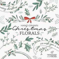 hand drawn christmas florals with holly leaves and red ribbon on the top, in white background