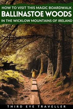 the cover of how to visit this magic boardwalk in the wicklow mountains of ireland