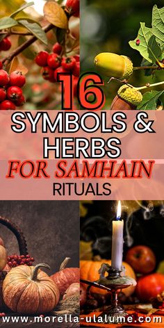 Discover the best 16 herbs, trees, and fruits used for Samhain celebrations! 🌿🍂 Dive into the rich traditions of Samhain Halloween with these powerful herbs for Samhain rituals, altar setups, and decorations. Explore the pagan Samhain symbols and blessings that make this season so special. Click to learn how to incorporate these natural elements into your Samhain celebrations and connect deeper with this ancient festival. Samhain Symbols, Pagan Samhain, Samhain Decorations, Samhain Festival, Samhain Traditions, Winter Solstice Traditions, Samhain Altar, Samhain Ritual