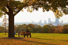 two people sitting on a park bench under a tree with the city in the background