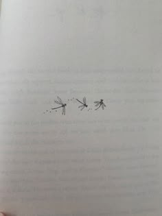 an open book with two dragonflies drawn on it