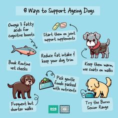 an image of dogs with their food and the words 8 ways to support aging dogs