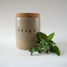 there is a small jar with herbs in it next to a leafy green plant