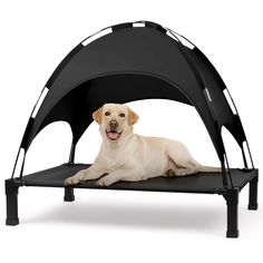 a white dog laying down in a black pet bed that is attached to a metal frame