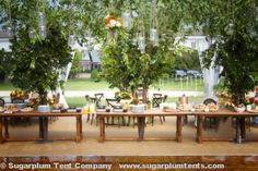 an outdoor table set up for a party