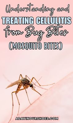 a mosquito with text overlaying it that reads, underhanding and treating geulitis from bug bites mosquito bites