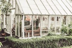 an old greenhouse with many plants and pots in the house's glass windows, surrounded by greenery