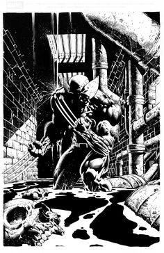 WOLVERINE by DAVID FINCH Comic Book Artists, Comic Illustration, Comic Book Characters, Comic Artist