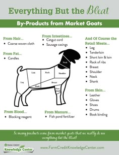 an info sheet describing the benefits of meat for dogs and their owners to know about it