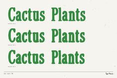 the words cactus plants and cactus plants written in green ink