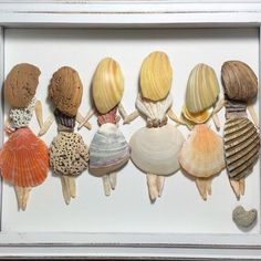 five seashells are arranged in a white frame