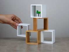 a hand is holding a small plant in a white cube with two smaller ones on each side