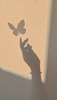 the shadow of a person's hand holding a butterfly on a white wall with sunlight coming through it