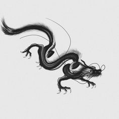 a black and white drawing of a dragon flying through the air with its mouth open