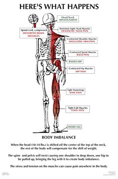 Here's What Happens Upper Cervical Chiropractic, Psoas Release, Studio Pilates, Head Pain, Psoas Muscle