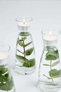 three glass vases filled with plants and lit candles on top of a white surface