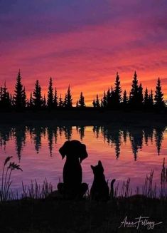 two dogs sitting in front of a lake at sunset